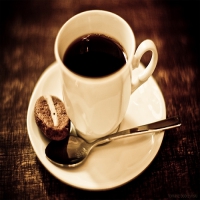 Café The Store