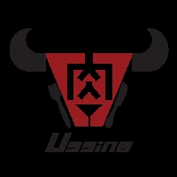 Ussina