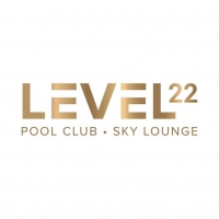 LEVEL 22